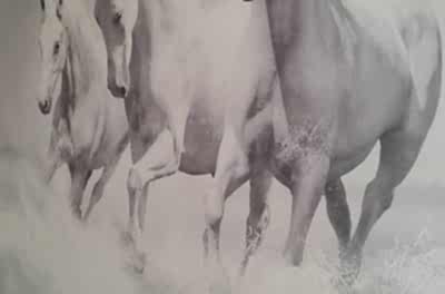 Galeri